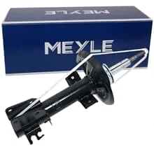 2x MEYLE STOßDÄMPFER VORDERACHSE für NISSAN NV400 OPEL MOVANO B RENAULT MASTER 3