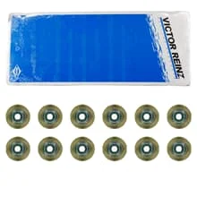 REINZ VENTILSCHAFTDICHTUNG DICHTSATZ passend für BMW 1er E81 E87 E82 F20 2er F22