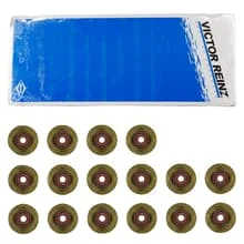 REINZ VENTILSCHAFTDICHTUNG SATZ passend für CHRYSLER NEON PT FIAT 500X TIPO JEEP