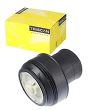 TRISCAN LUFTFEDER FEDERBALG HINTERACHSE BEIDSEITIG PASSEND FÜR BMW X5 X6 | 8720