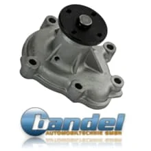 WASSERPUMPE+DICHTUNG passend für FORD ESCORT 3 4 FIESTA 2 ORION 1.6 D DIESEL